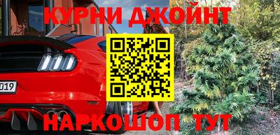 спиды Аргун