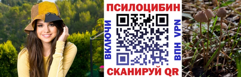 Псилоцибиновые грибы Psilocybe  наркотики  Великий Новгород 
