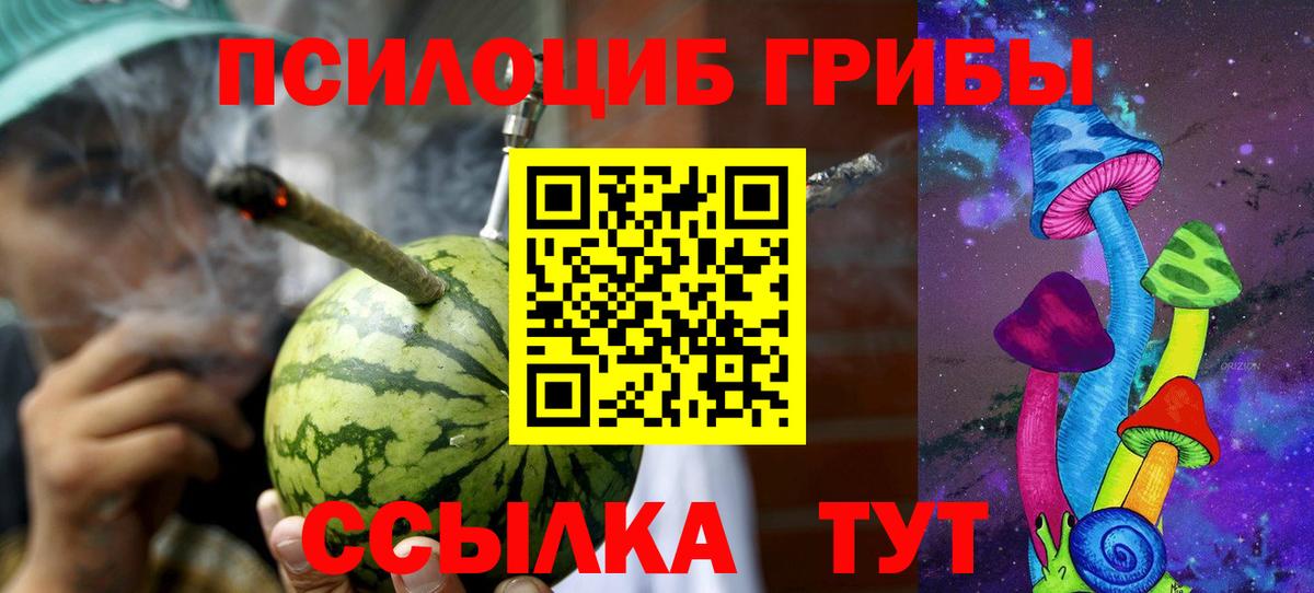 Галлюциногенные грибы GOLDEN TEACHER  Вход с VPN  Великий Новгород  Галлюциногенные грибы Magic Shrooms 