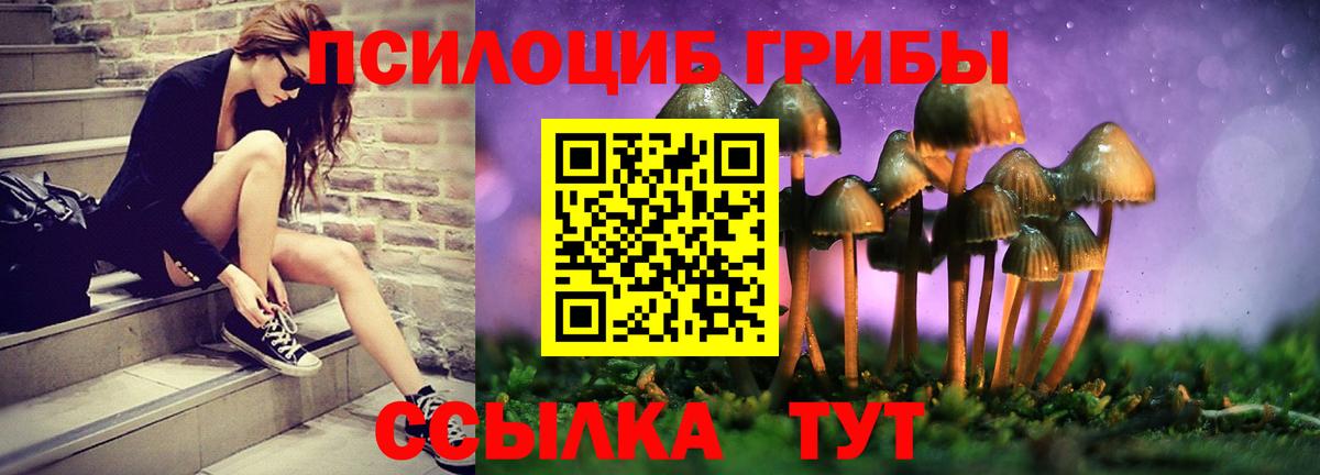Псилоцибиновые грибы мицелий Великий Новгород