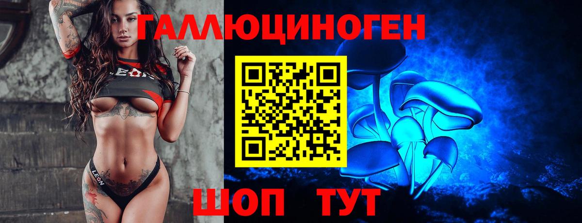 Галлюциногенные грибы Psilocybe  Псилоцибиновые грибы GOLDEN TEACHER  Великий Новгород 