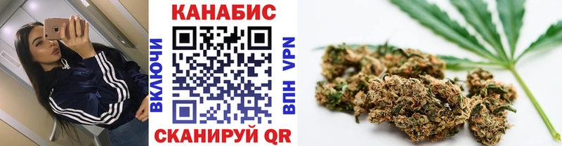 omg маркетплейс  Великий Новгород  Шишки марихуана конопля  купить наркотик 